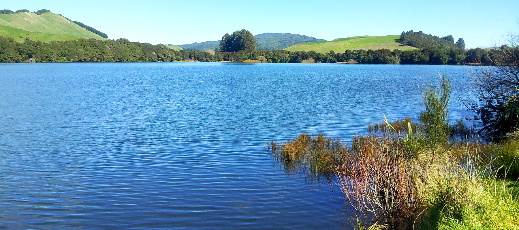 Lake Ngāpouri – Lakes 380