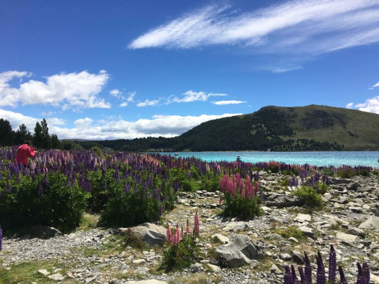 Takapō / Lake Tekapo – Lakes 380