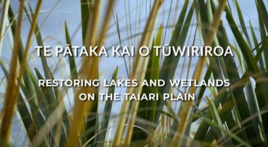 Te Pātaka Kai o Tūwiriroa video cover