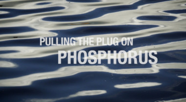 Pulling the plug on phosphorus